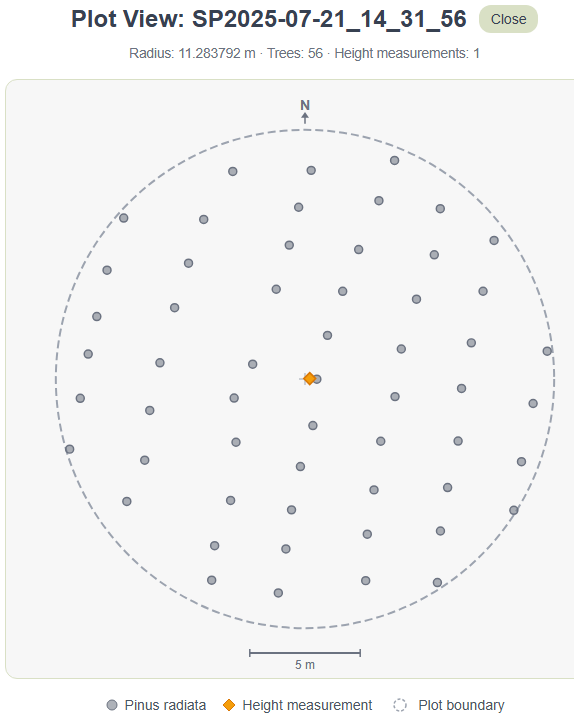 Arboreal plot view showing local AR coordinate axes (X east, Y altitude, –Z north) with the blue north arrow