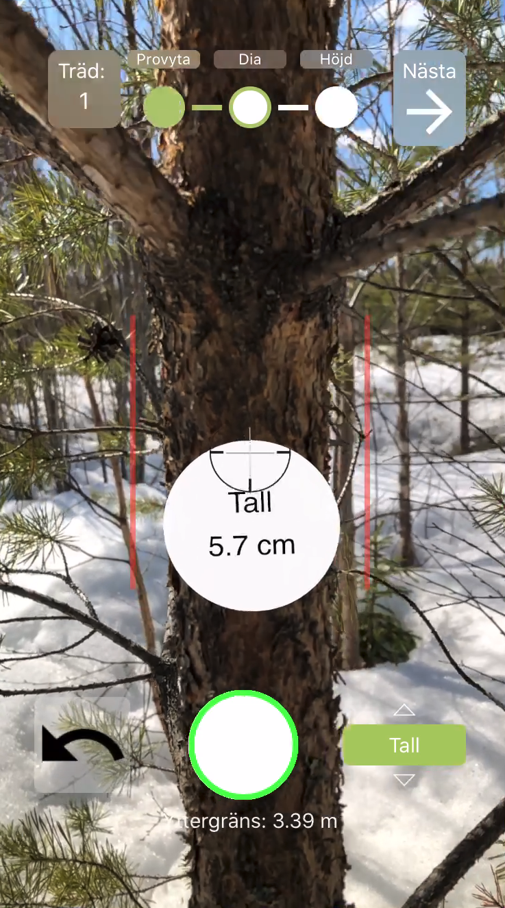 Measure young forests with Arboreal Forest